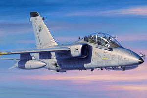 Hobby Boss 81743 A-11B Trainer 1/48 Model Kit - A-Z Toy Hobby