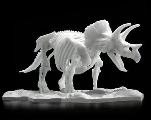 Bandai Limex Skeleton Triceratops Model Kit - A-Z Toy Hobby