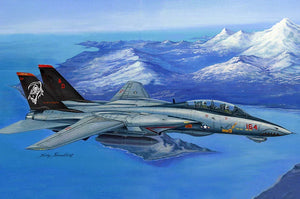 Hobby Boss 80368 F-14D Super Tomcat 1/48 Model Kit - A-Z Toy Hobby