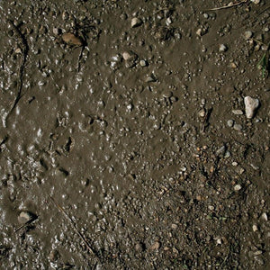 AK Interactive AK8016 Diorama Terrains Wet Ground 250ml - A-Z Toy Hobby