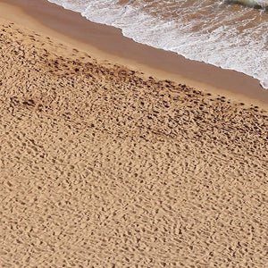 AK Interactive AK8019 Diorama Terrains Beach Sand 250ml - A-Z Toy Hobby