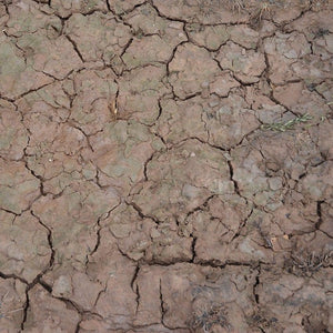 AK Interactive AK8034 Diorama Wet Crackle Effects 100ml - A-Z Toy Hobby