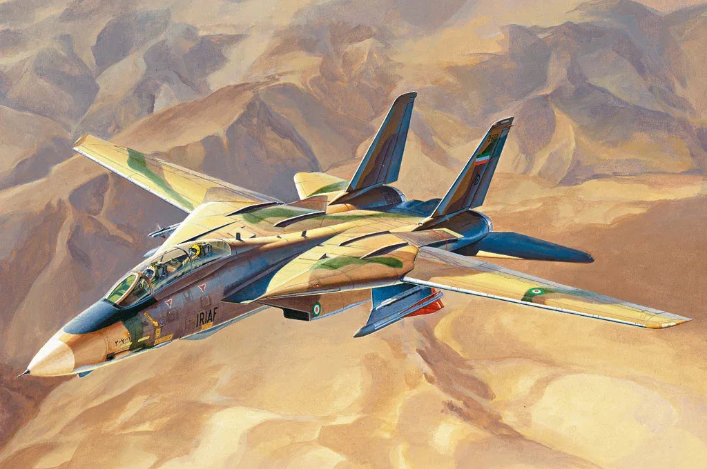 Hobby Boss 81771 F-14A Tomcat Persian Cat IRIAF 1/48 Model Kit - A-Z Toy Hobby