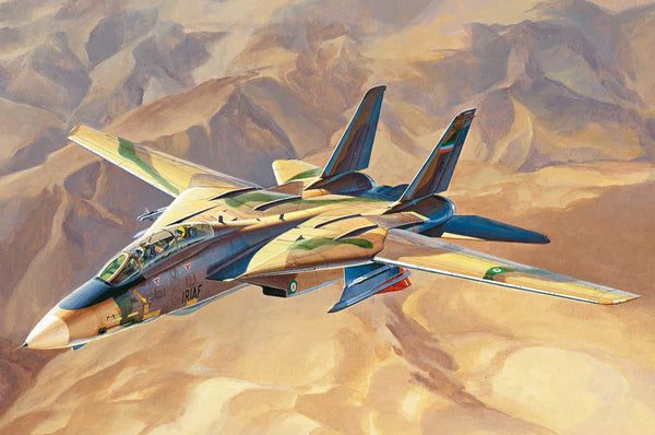 Hobby Boss 81771 F-14A Tomcat Persian Cat IRIAF 1/48 Model Kit