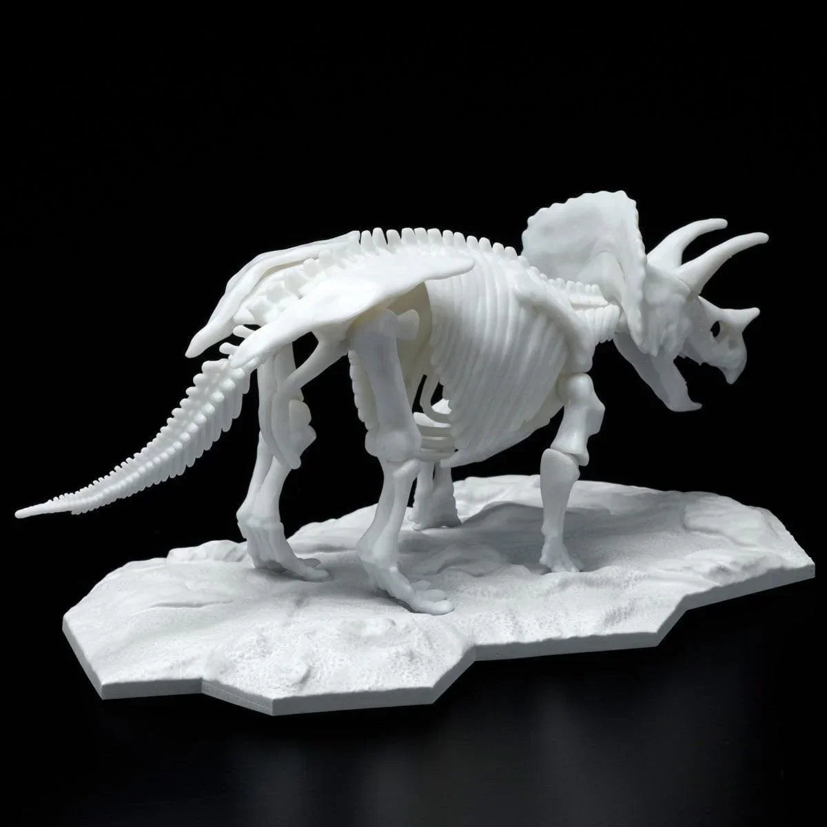 Bandai Limex Skeleton Triceratops Model Kit - A-Z Toy Hobby