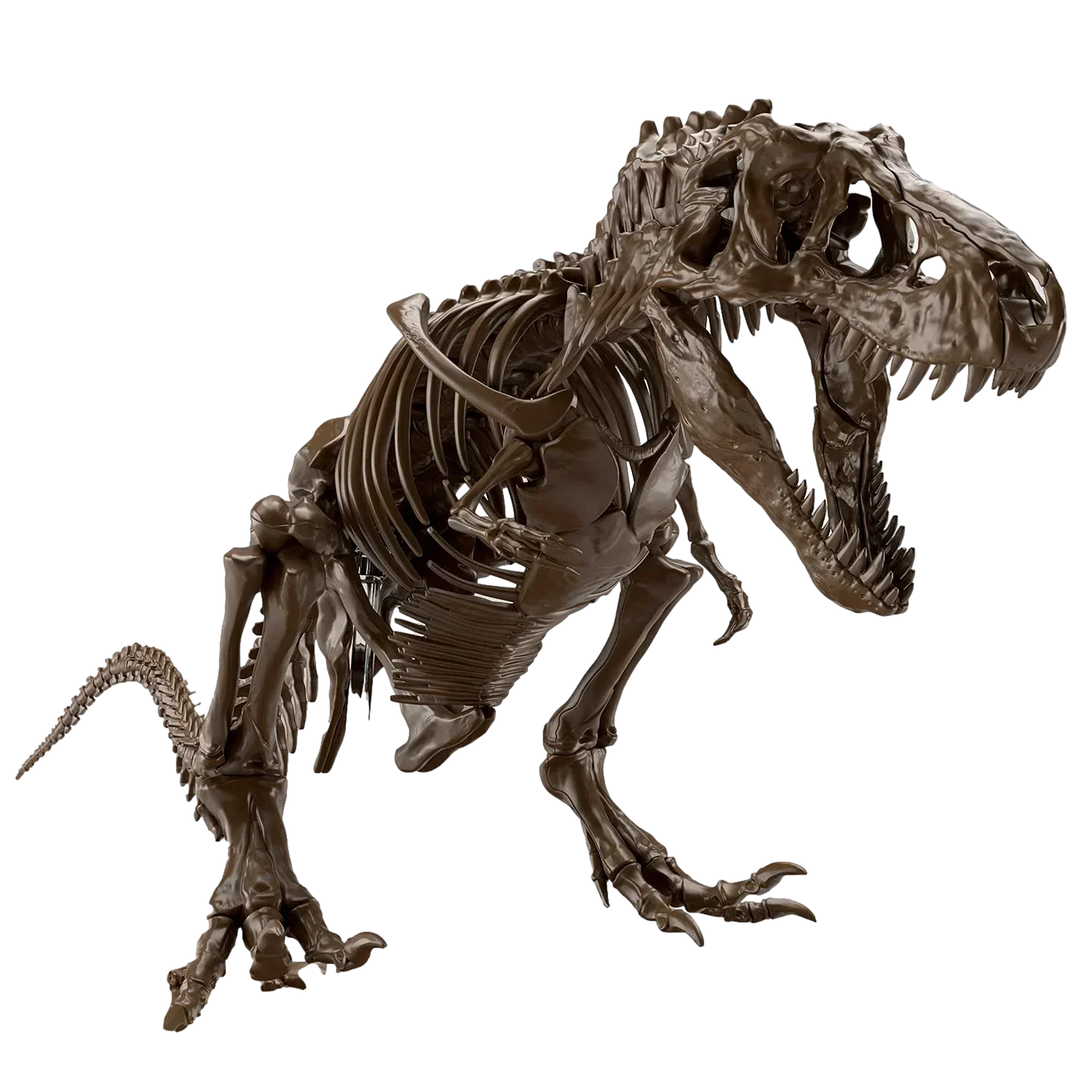 Bandai Imaginary Skeleton Tyrannosaurus 1/32 Model Kit - A-Z Toy Hobby