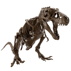 Bandai Imaginary Skeleton Tyrannosaurus 1/32 Model Kit - A-Z Toy Hobby