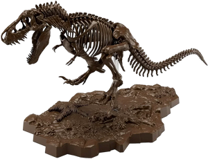 Bandai Imaginary Skeleton Tyrannosaurus 1/32 Model Kit - A-Z Toy Hobby