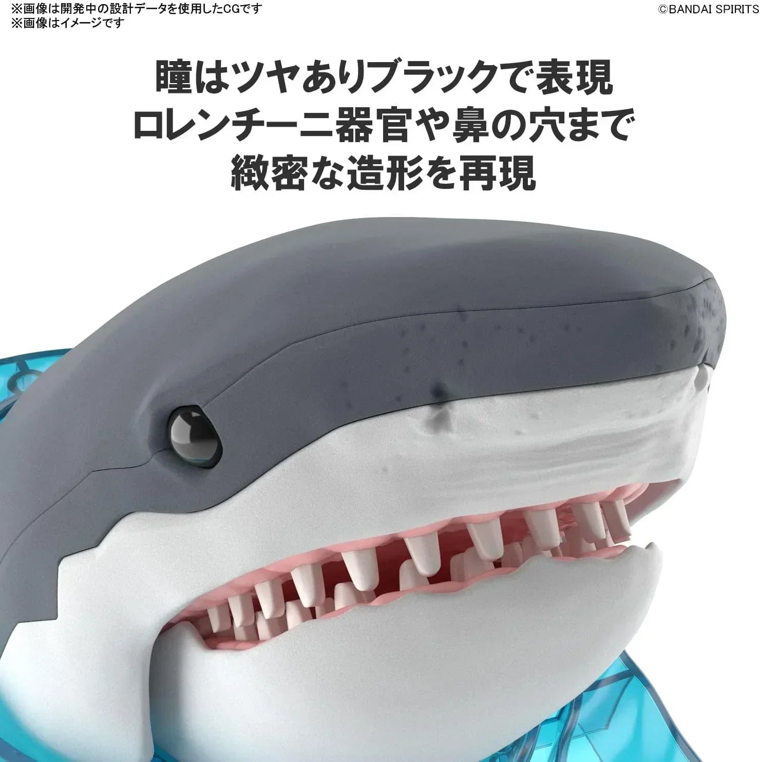 Bandai Exploring Lab Nature Great White Shark Model Kit - A-Z Toy Hobby