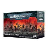 Warhammer 40,000 Chaos Space Marines: Fellgor Beastmen 43-67