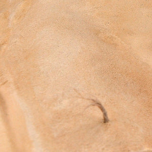 AK Interactive AK8022 Diorama Terrains Sandy Desert 250ml - A-Z Toy Hobby