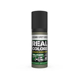 AK Interactive RC879 Real Colors Russian Gray Green Paint 17ml - A-Z Toy Hobby