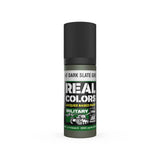 AK Interactive RC968 Real Colors RAF Dark Slate Grey Paint 17ml - A-Z Toy Hobby