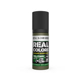 AK Interactive RC975 Real Colors AMT-4 / A-24m Green Paint 17ml - A-Z Toy Hobby