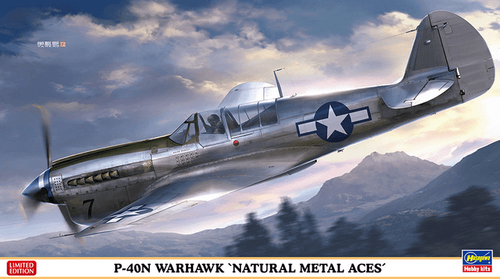 Hasegawa 07516 P-40N Warhawk Natural Metal Aces Limited Edition 1/48 Model Kit - A-Z Toy Hobby