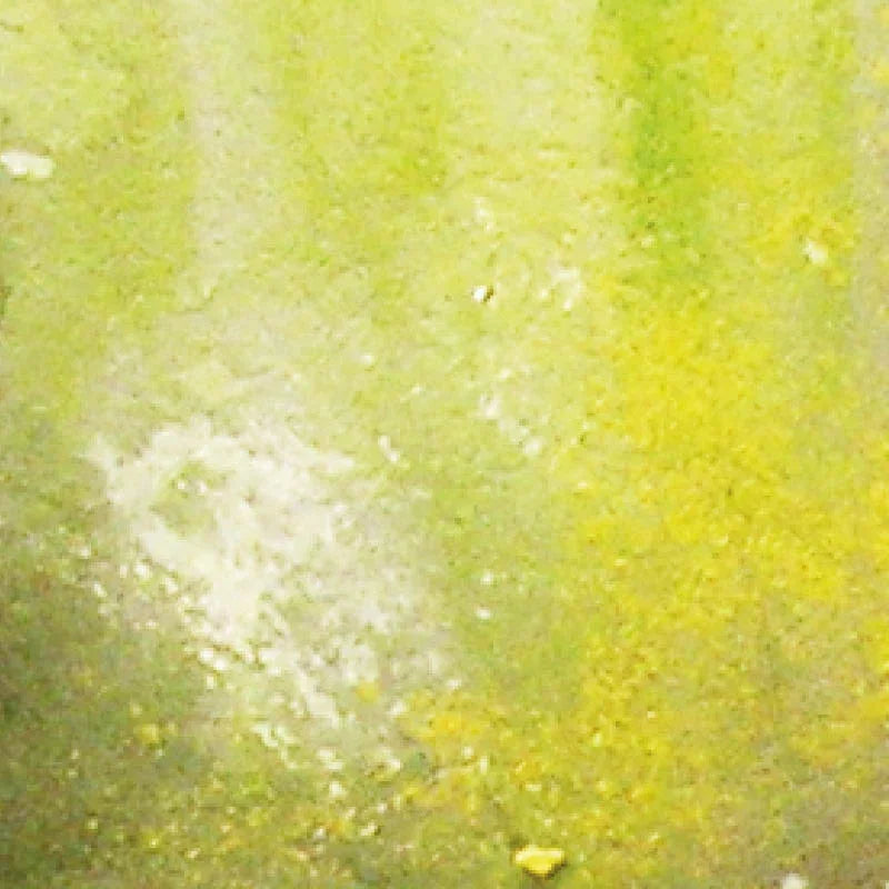 Vallejo 73823 Weathering FX Slime Grime Light 40ml - A-Z Toy Hobby